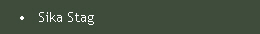 Sika Stag